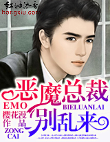 恶魔总裁，别乱来